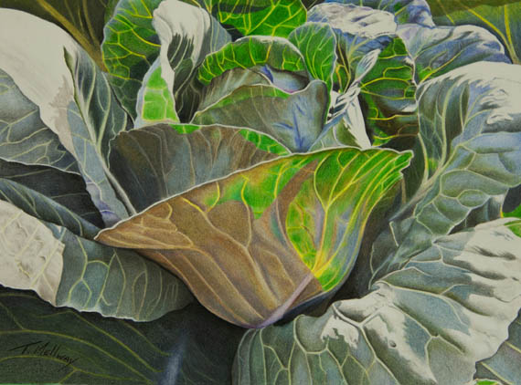 "Cabbage Soup" done...