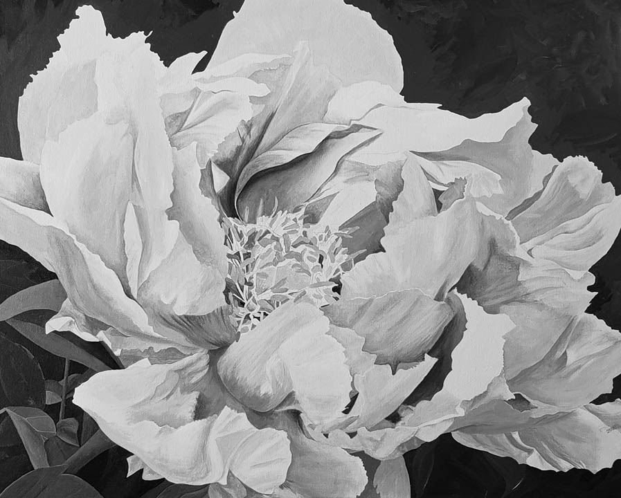 Monochromatic Peony... (day 4)