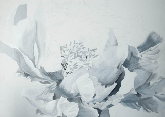 Monochromatic Peony... (start)