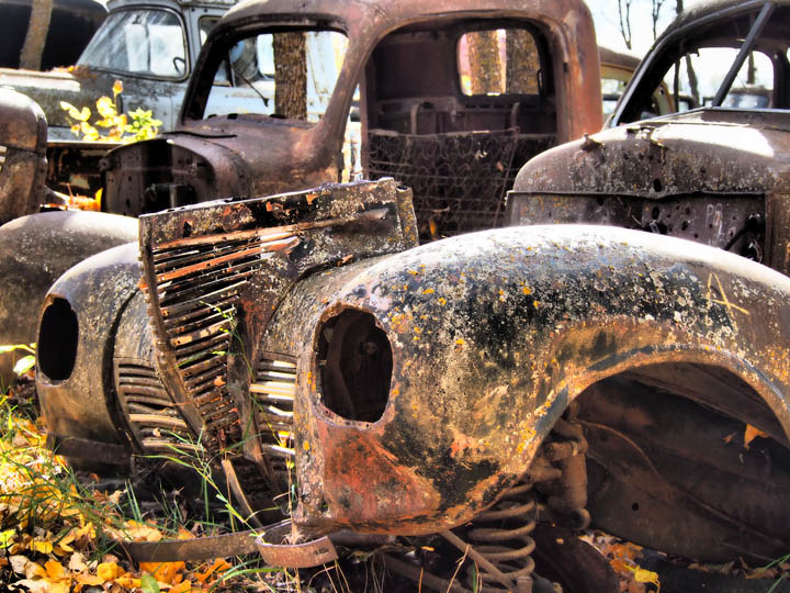 Out to Pasture WIP...