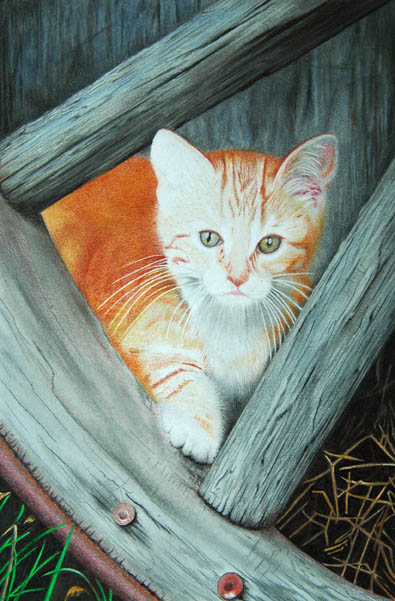 Peek a Boo cont'd...