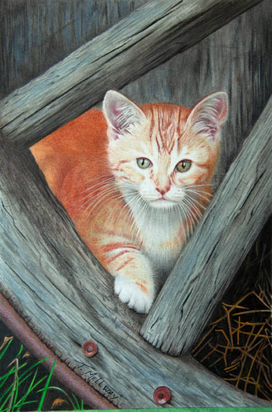 Peek a Boo is finished!