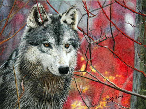 Coloured pencil artwork by Terry Mellway