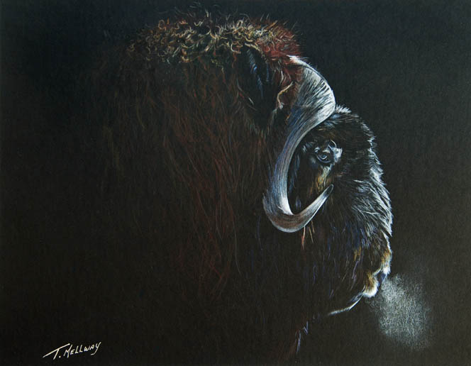 Coloured pencil artwork by Terry Mellway