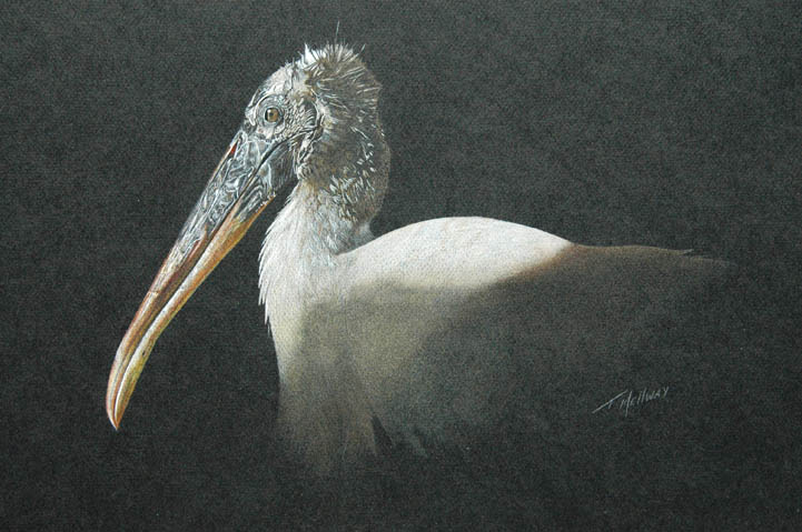 Coloured pencil artwork by Terry Mellway