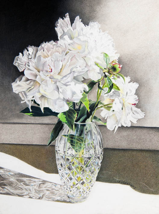 Coloured pencil artwork by Terry Mellway