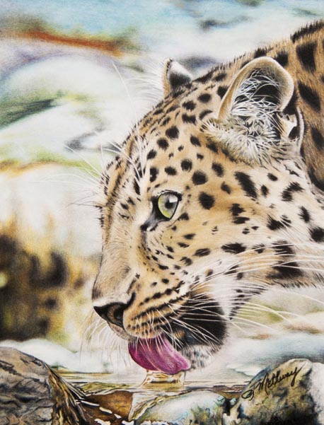 Coloured pencil artwork by Terry Mellway