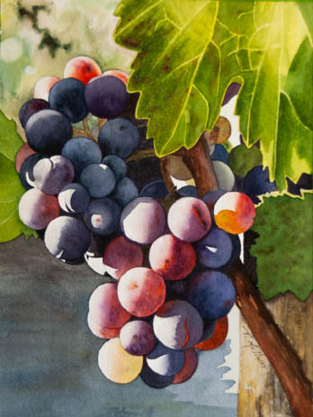 Watercolour painting by Terry Mellway